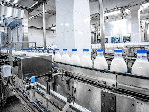 dairy