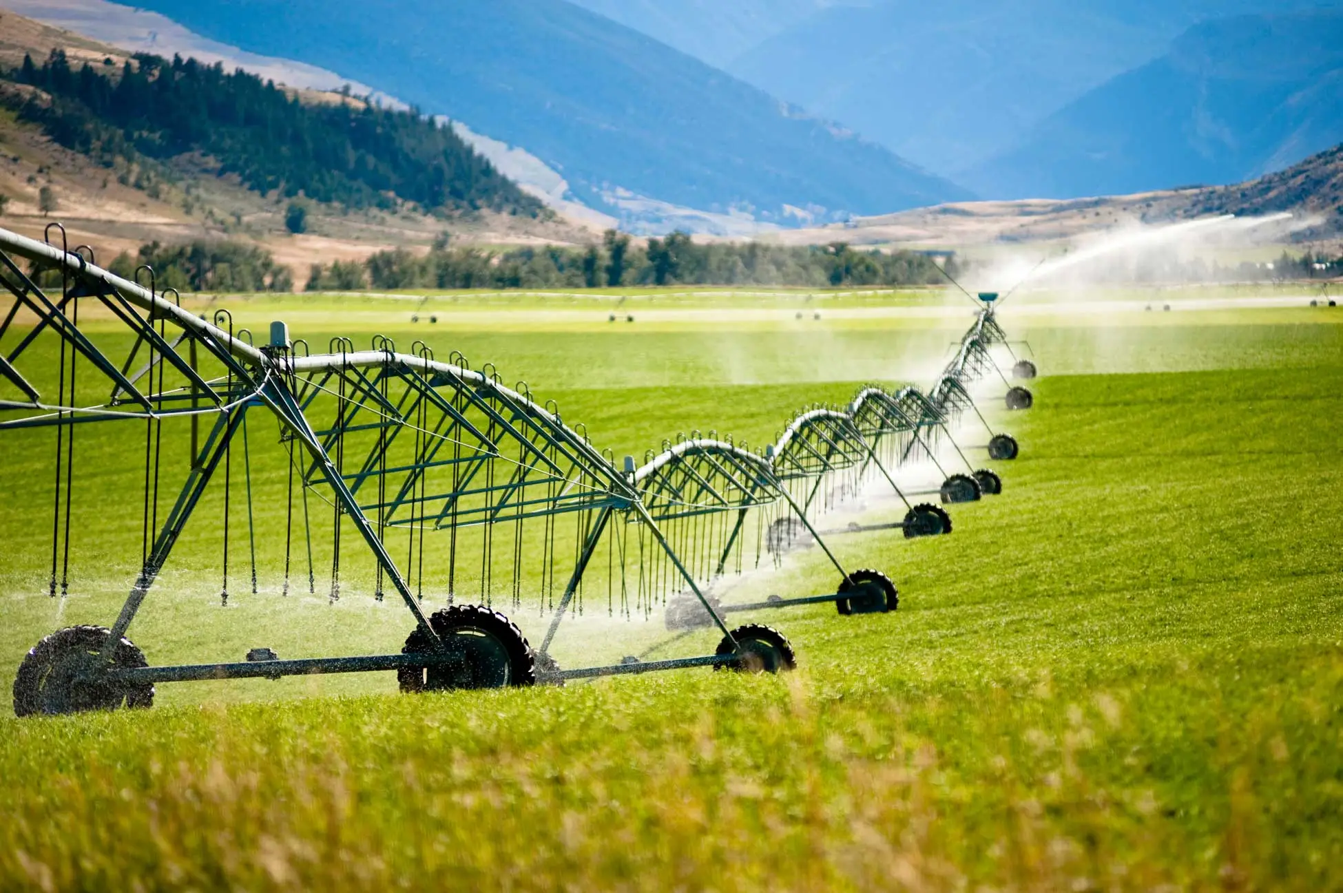 irrigation